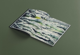 Norman Liermann – Design & Art Direction