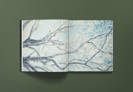 Norman Liermann – Design & Art Direction