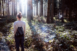 Norman Liermann – Design & Art Direction