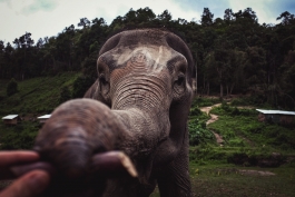 Norman Liermann – Design & Art Direction