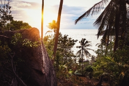 Norman Liermann – Design & Art Direction