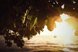 Norman Liermann – Design & Art Direction