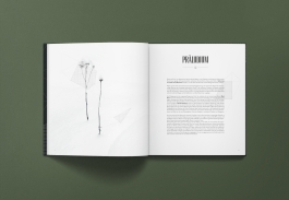 Norman Liermann – Design & Art Direction