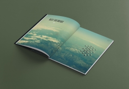 Norman Liermann – Design & Art Direction